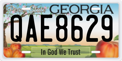 GA license plate QAE8629