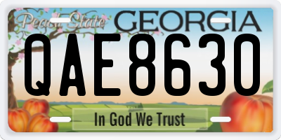 GA license plate QAE8630