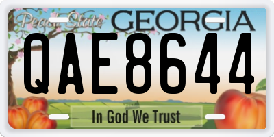 GA license plate QAE8644