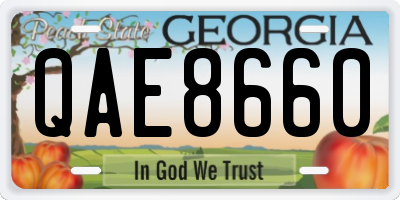 GA license plate QAE8660
