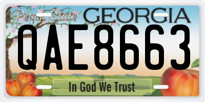 GA license plate QAE8663