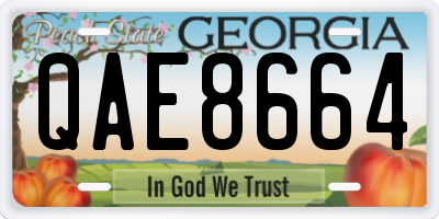 GA license plate QAE8664