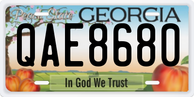 GA license plate QAE8680