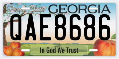 GA license plate QAE8686