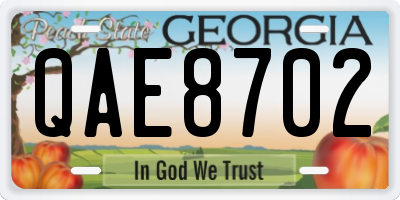 GA license plate QAE8702