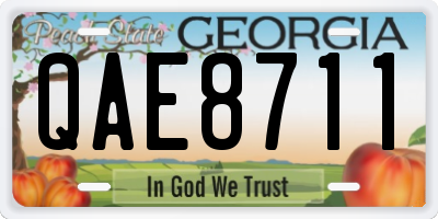GA license plate QAE8711