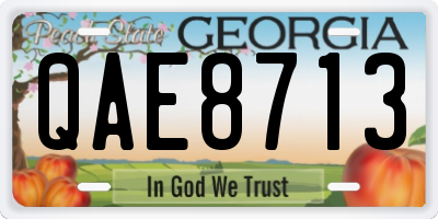 GA license plate QAE8713