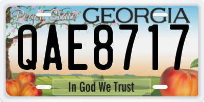 GA license plate QAE8717