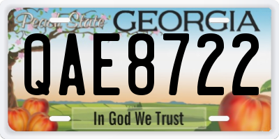 GA license plate QAE8722