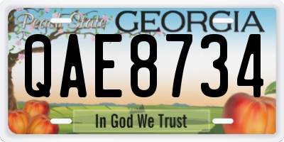 GA license plate QAE8734
