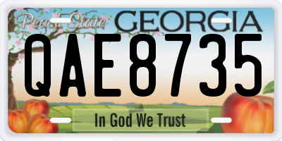 GA license plate QAE8735