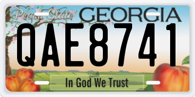 GA license plate QAE8741