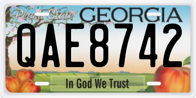 GA license plate QAE8742
