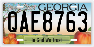 GA license plate QAE8763