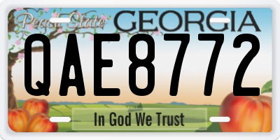 GA license plate QAE8772