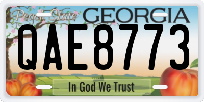 GA license plate QAE8773