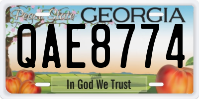 GA license plate QAE8774