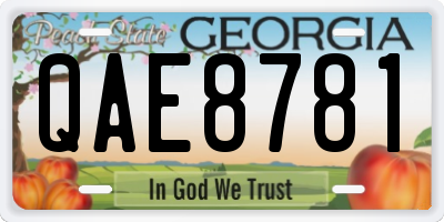 GA license plate QAE8781