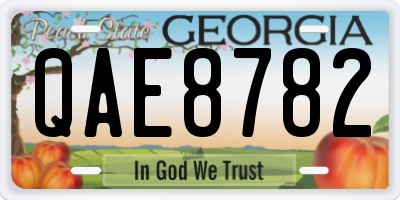 GA license plate QAE8782