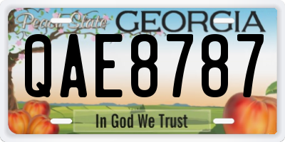 GA license plate QAE8787