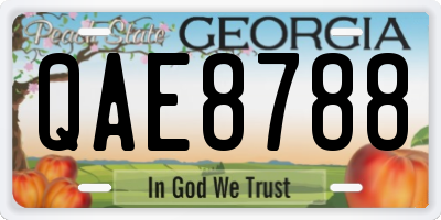 GA license plate QAE8788
