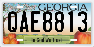 GA license plate QAE8813