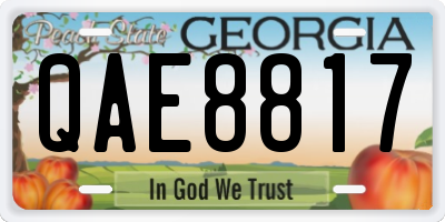 GA license plate QAE8817
