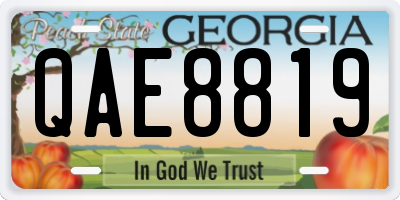 GA license plate QAE8819