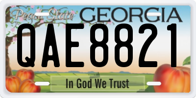 GA license plate QAE8821