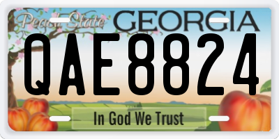 GA license plate QAE8824