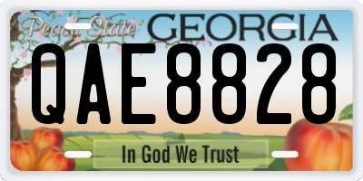 GA license plate QAE8828