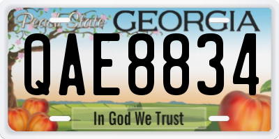 GA license plate QAE8834