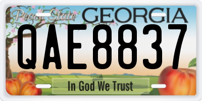 GA license plate QAE8837