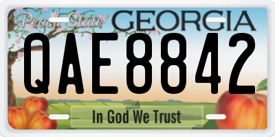 GA license plate QAE8842