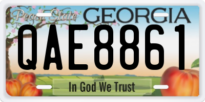 GA license plate QAE8861