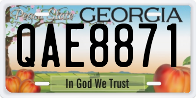 GA license plate QAE8871
