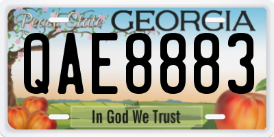GA license plate QAE8883