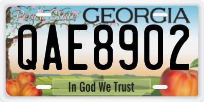 GA license plate QAE8902