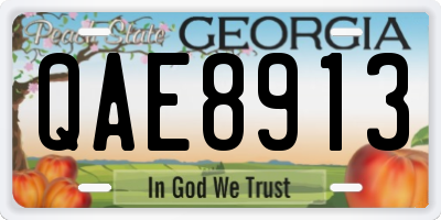 GA license plate QAE8913