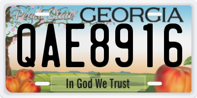 GA license plate QAE8916