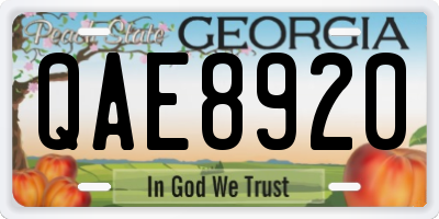 GA license plate QAE8920