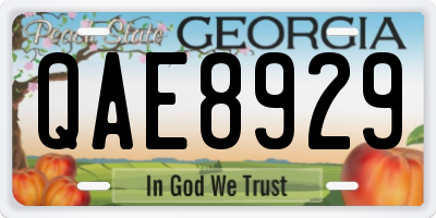GA license plate QAE8929