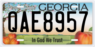 GA license plate QAE8957