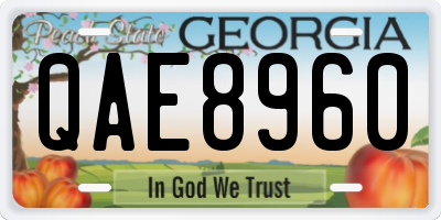 GA license plate QAE8960