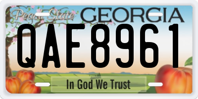 GA license plate QAE8961