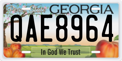 GA license plate QAE8964
