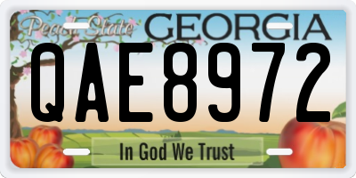 GA license plate QAE8972