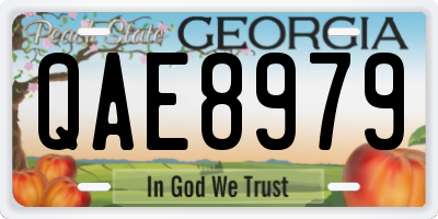 GA license plate QAE8979