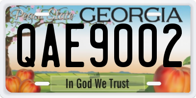 GA license plate QAE9002