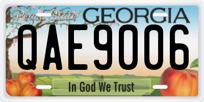 GA license plate QAE9006